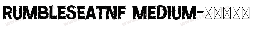 RumbleSeatNF Medium字体转换